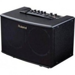 Roland AC40 Rosewood