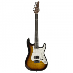 Schecter Traditional R66...