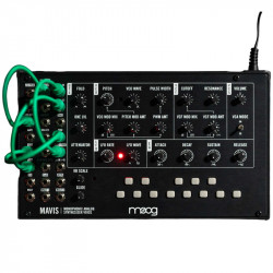 Moog Mavis