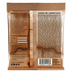 Ernie Ball 2148 Earthwood Phosphor Bronze Light 11-52