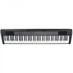 Echord DP1 Pianoforte Digitale + Supporto ad X