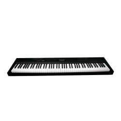 Echord SP10 Pianoforte Digitale + Supporto ad X