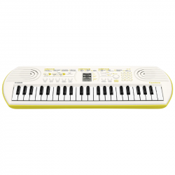 Casio SA80 + Alimentatore Soundsation PSU15 + Custodia Generica