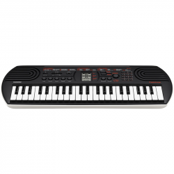 Casio SA81 + Alimentatore Soundsation PSU15 + Custodia Generica