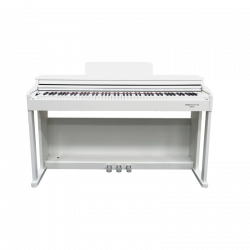 Echord DPX100 Satin White + Proel EL30 + Eikon HFC30