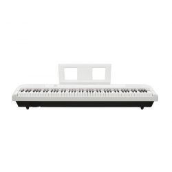 Echord DP1 White