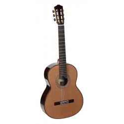 Salvador Cortez Sinfonia C Chitarra Classica 4/4 Con Tastiera Rialzata