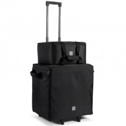 LD System DAVE 10 G4X BAG SET