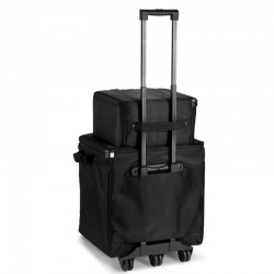 LD System DAVE 10 G4X BAG SET