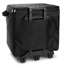 LD System DAVE 10 G4X BAG SET