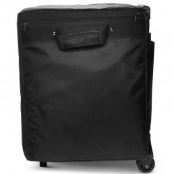 LD System DAVE 10 G4X BAG SET