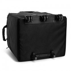 LD System DAVE 10 G4X BAG SET